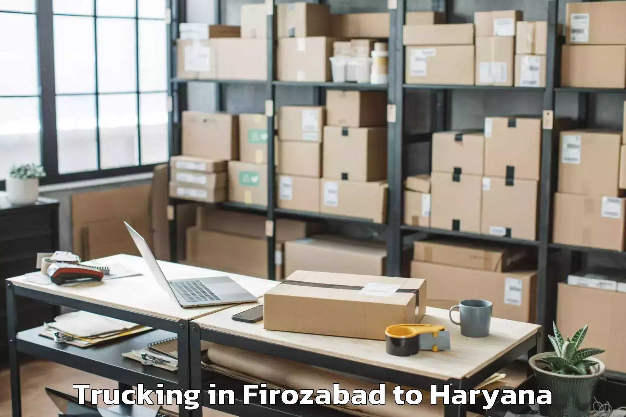 Reliable Firozabad to Kanina Khas Trucking